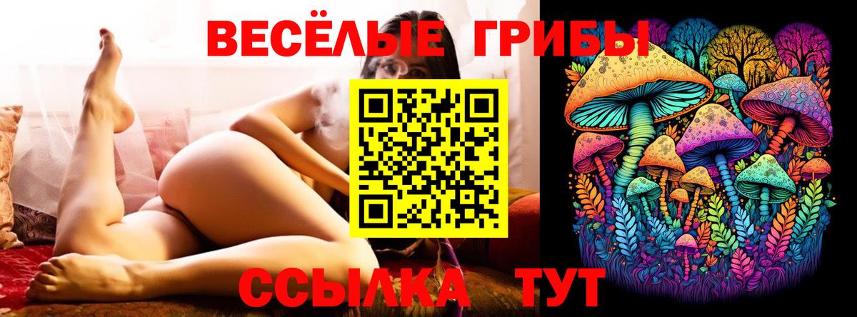 Галлюциногенные грибы GOLDEN TEACHER  Псилоцибиновые грибы Psilocybine cubensis  наркошоп  Сибай  Вход с VPN 